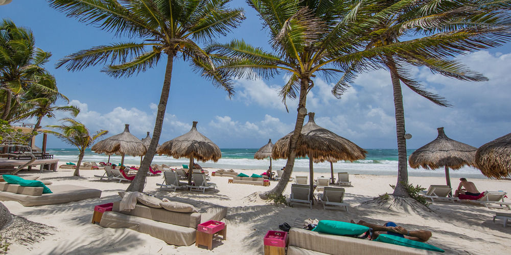 La Zebra Tulum, A Small Luxury Hotel Esterno foto